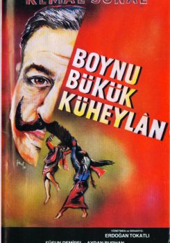 Boynu Bükük Küheylan