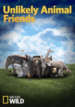 Unlikely Animal Friends
