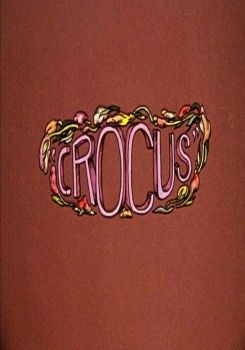 Crocus