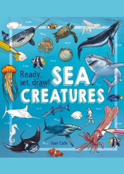 Ready, Set, Draw! Sea Creatures