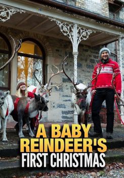 A Baby Reindeer's First Christmas