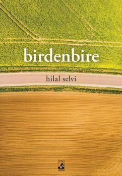 Birdenbire