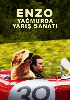 Enzo: Yağmurda Yarış Sanatı