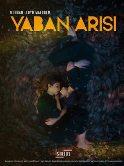 Yaban Arısı