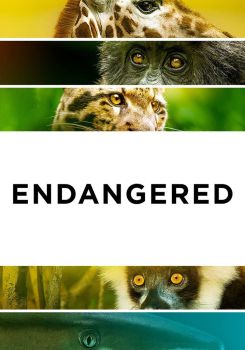 Endangered