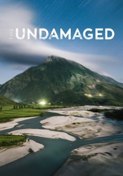 The Undamaged