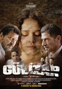 Gülizar Yol Ayrımı