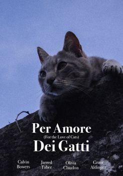 For the Love of Cats