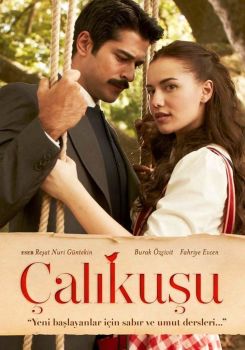 Çalıkuşu