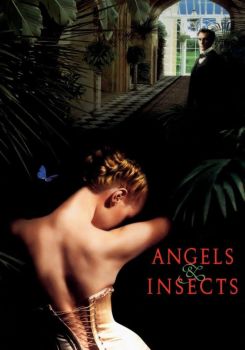 Angels and Insects