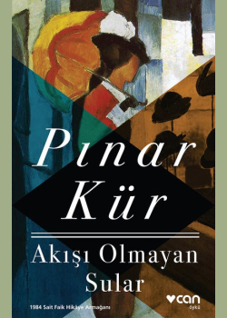 Akışı Olmayan Sular