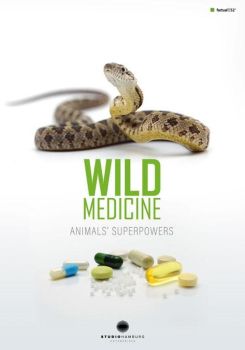 Wild Medicine: Animals' Superpowers