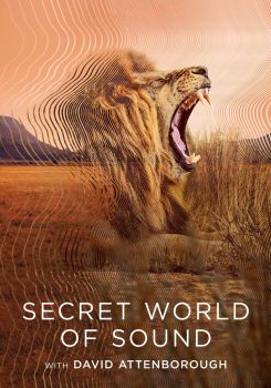 Secret World of Sound with David Attenborough