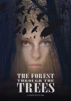 The Forest Through the Trees