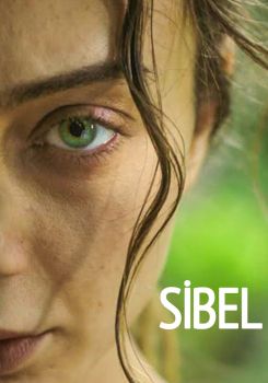 Sibel