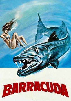 Barracuda