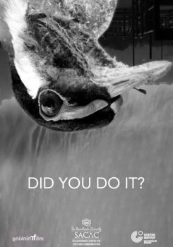 Did You Do It?