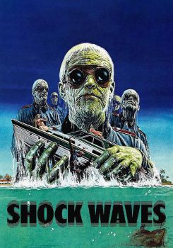 Shock Waves