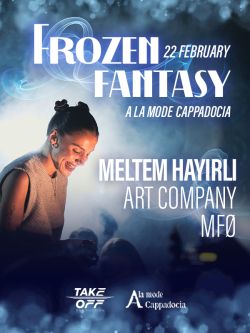 Frozen Fantasy : Meltem Hayırlı