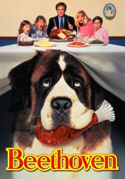 Afacan Köpek Beethoven