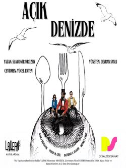 Açık Denizde
