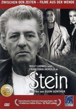 Stein