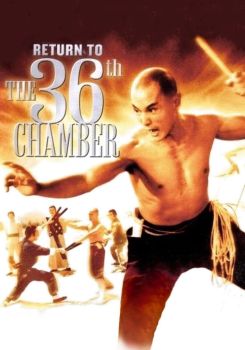 Return to the 36th Chamber