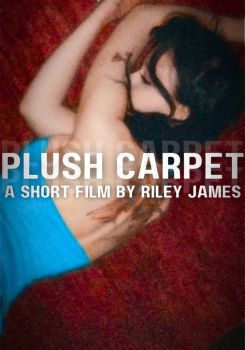 Plush Carpet