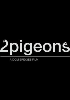 2 pigeons