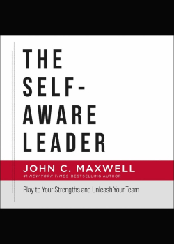 The Self-Aware Leader: Play to Your Strengths, Unleash Your Team