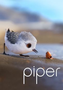 Piper