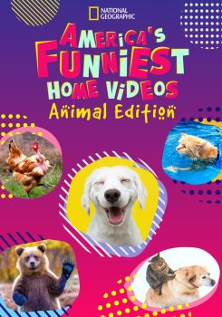 America's Funniest Home Videos: Animal Edition