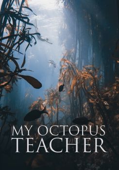 Ahtapottan Öğrendiklerim