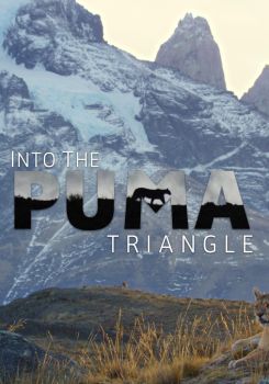 Into the Puma Triangle