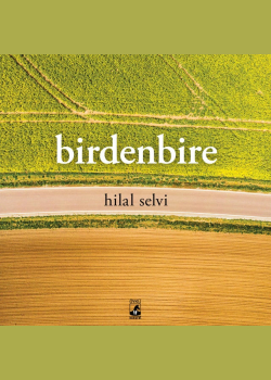 Birdenbire
