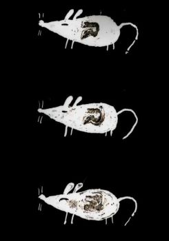 Trauma Chameleon
