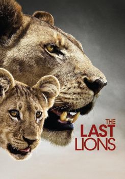 The Last Lions