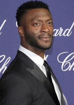Aldis Hodge