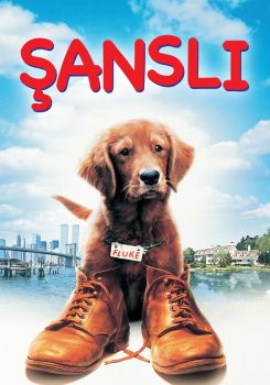 Şanslı