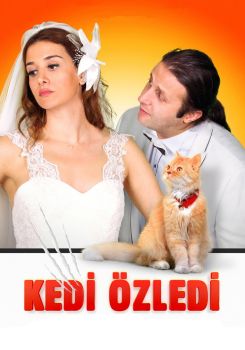 Kedi Özledi