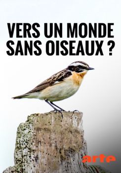 Towards a World Without Birds