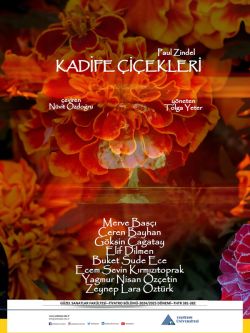Kadife Çiçekleri
