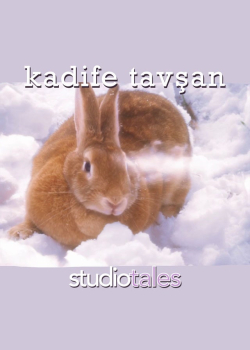 Kadife Tavşan