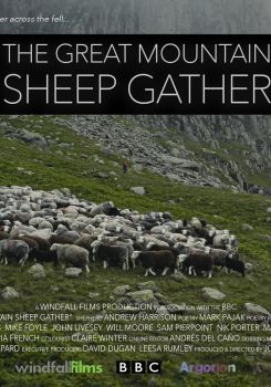 The Great Mountain Sheep Gather