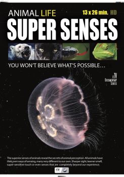 Super Senses