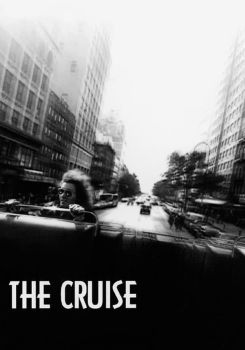 The Cruise