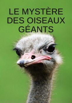 Mystery of the Giant Birds