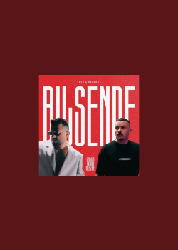 Bilsen de