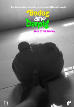 Bodog and Darpig: Back to the Pincha