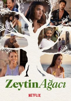 Zeytin Ağacı